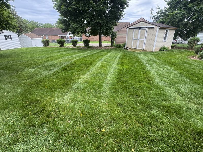 Backyard lawn mowed and edged