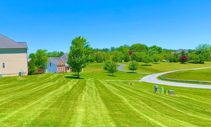 Fresh mowing stripes on a large community lawn
