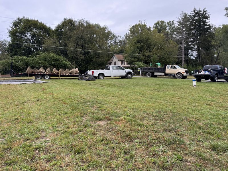 Trees delivered and staged for a large planting project